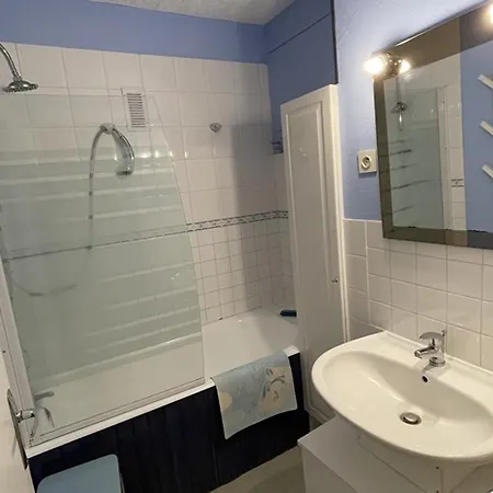 Apartment 35m² Pour 5 Pers. Avec Balcon, Centre Station, Proche Commerces Et Pistes, Animaux Acceptes. - Fr-1-787-61 Laveissiere