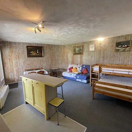 Apartment 35m² Pour 5 Pers. Avec Balcon, Centre Station, Proche Commerces Et Pistes, Animaux Acceptes. - Fr-1-787-61 Laveissiere